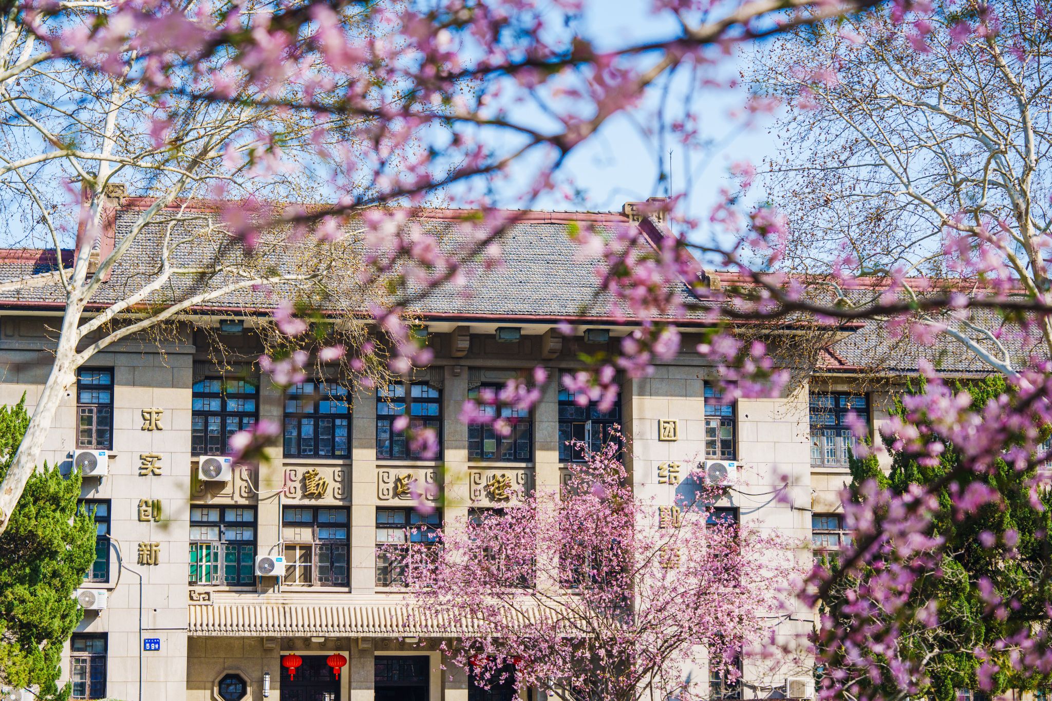 南阳“黑马”邓州：卧龙没预料，唐河没料到，今成全国焦点