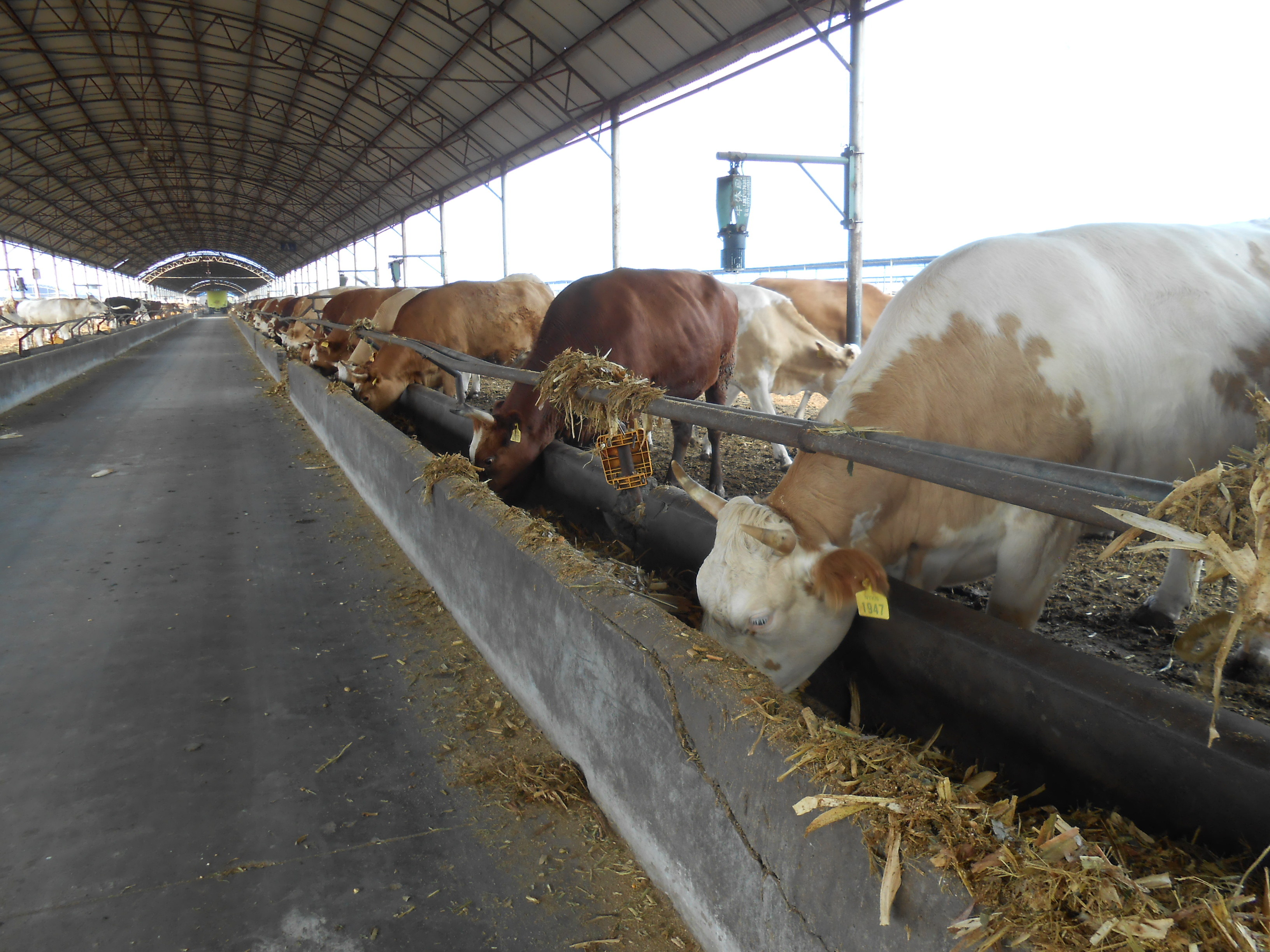 竞相发展争出彩——南阳市县域经济发展情况探析
