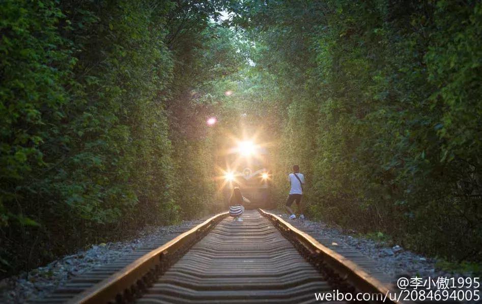 为了抓拍"发梢飘起",情侣爬上铁轨,瞬间被火车掀翻