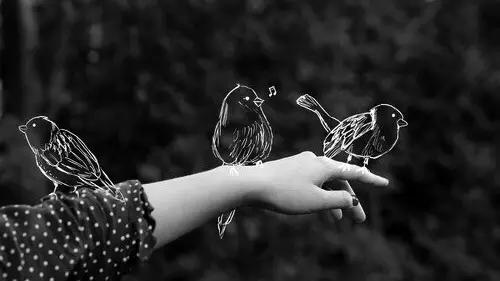 情人节传说:那些古老浪漫唯美的爱情故事