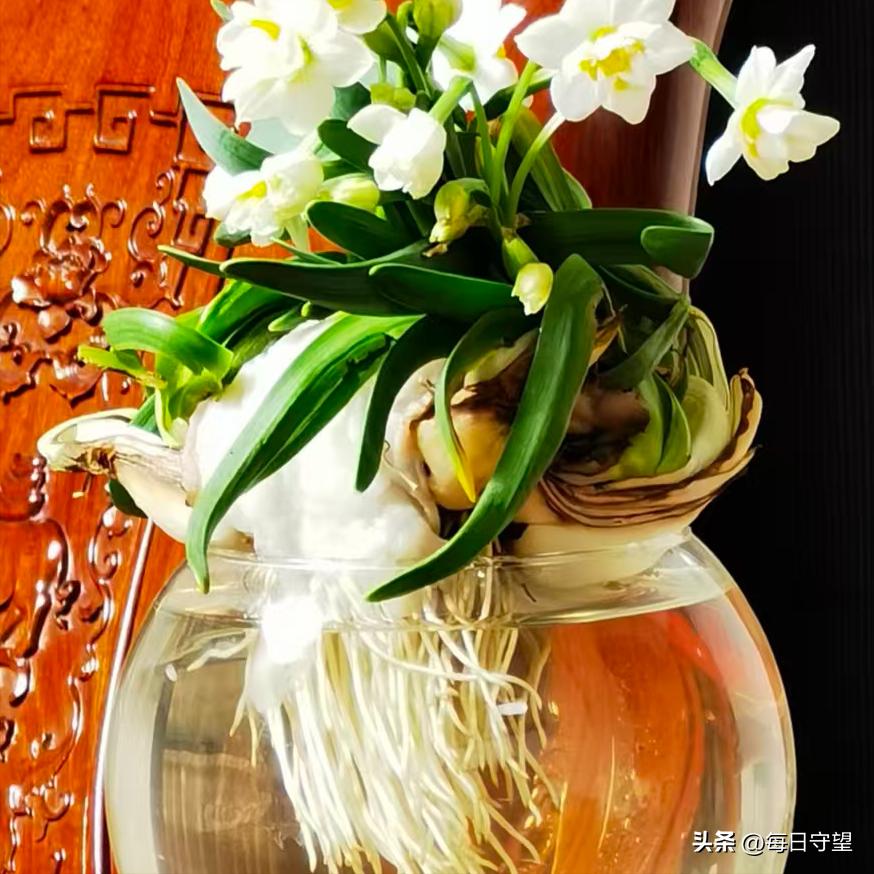 所有烦恼随2025远去,2026拥抱一切美好