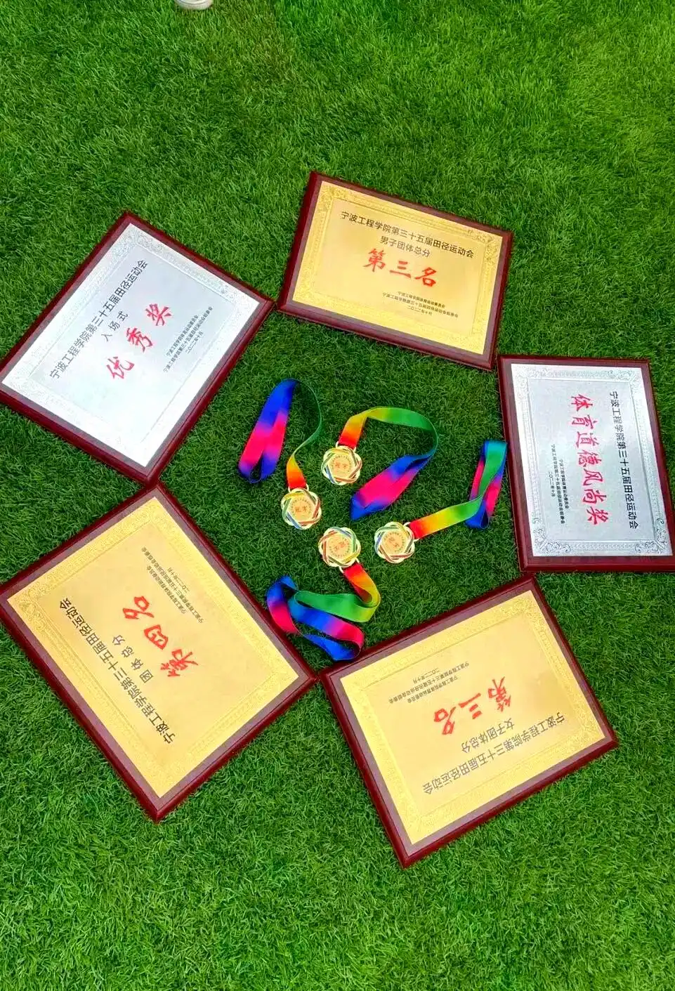 青春的精彩瞬间:校运会背后的拼搏故事