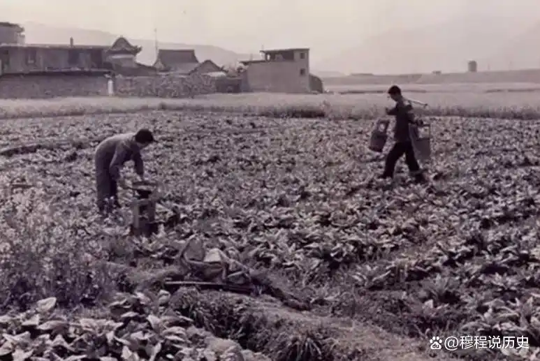 2002年，山东老汉因女儿拒绝为弟弟买房怒下杀手，直言：她该死