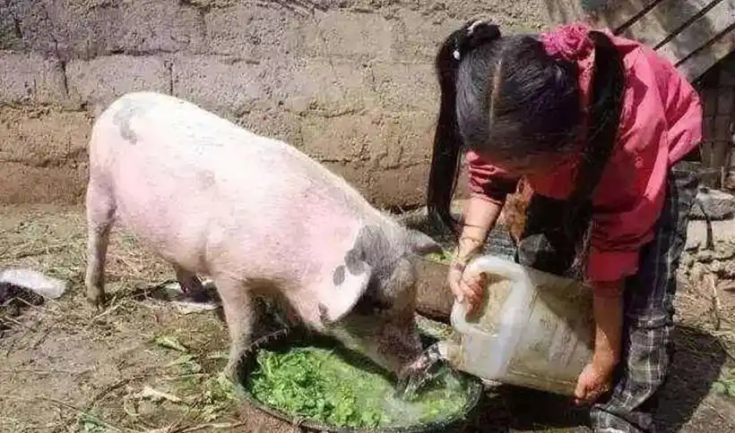 2002年，山东老汉因女儿拒绝为弟弟买房怒下杀手，直言：她该死