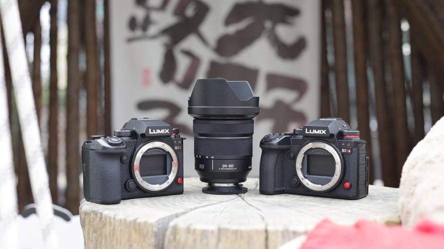 松下24-60mm F2.8镜头实拍体验 焦段实用日常拍摄很顺手