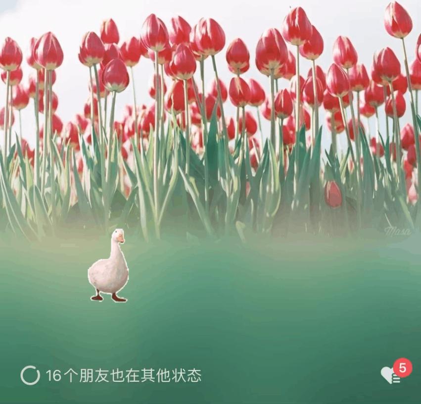 “微信农场”来了,年轻人会买账吗?