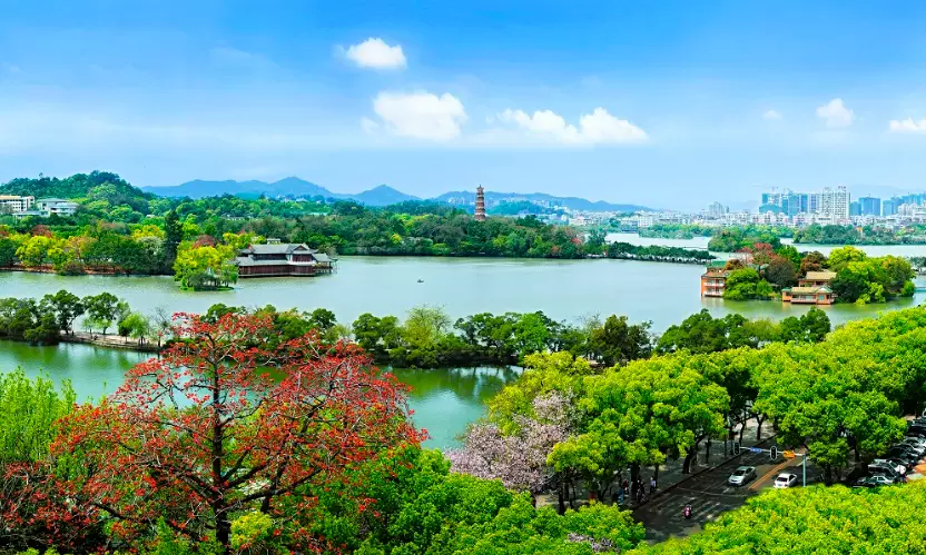 2024中国移动广东公司惠州分公司秋季校园招聘火热来袭