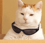 不会制作PPT？别虚，你缺的是这7个网站，高质量素材、模板免费用