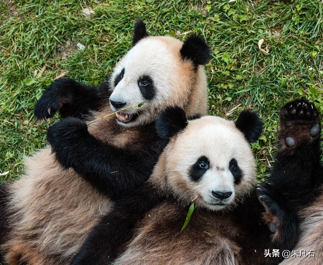 语言认知牢笼--如何用新英语重启第二人生