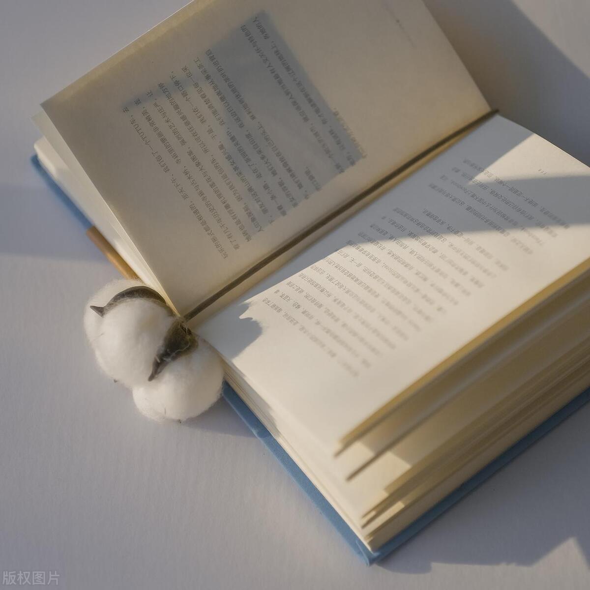 什么是核心期刊？国内七大核心期刊体系全解析