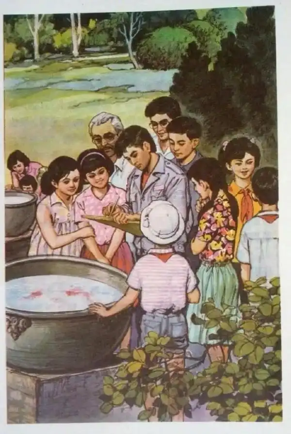 人教版教材配图引争议 网友：不像国人审美 专家：插图应起到加分作用