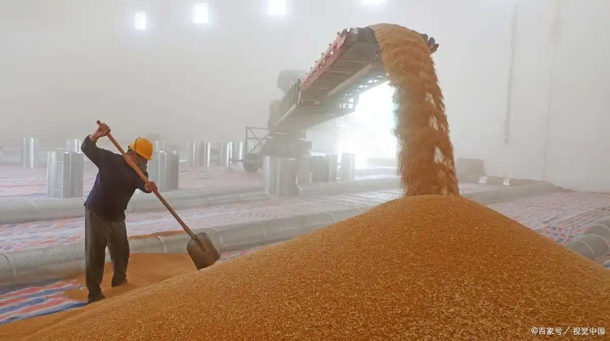 璞玉南阳:汉水之滨的转型“琢玉记”