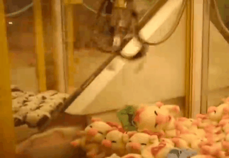 这里有一份抓娃娃秘籍！终于知道为什么总夹不住了