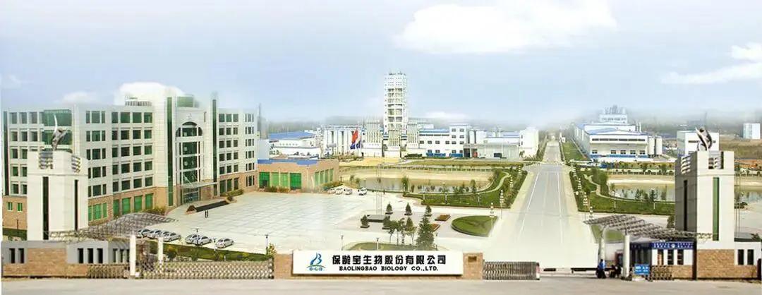 保龄宝人事大调整:63岁王强接棒“95后”董事长,“老将”刘峰兼任董秘