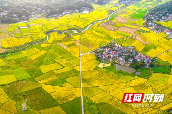 盘点2025丨株洲市资规局：以实干解民忧 以整治优生态 用协同筑幸福