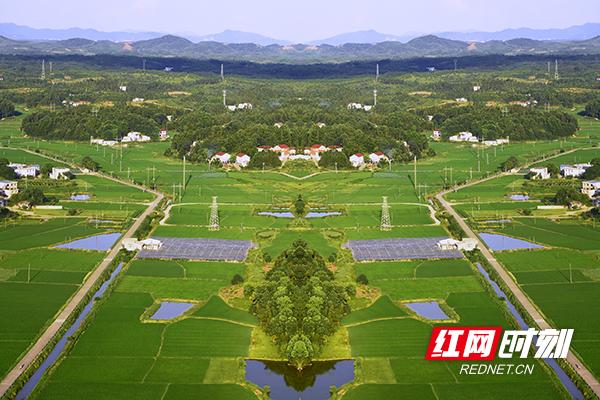 盘点2025丨株洲市资规局：以实干解民忧 以整治优生态 用协同筑幸福