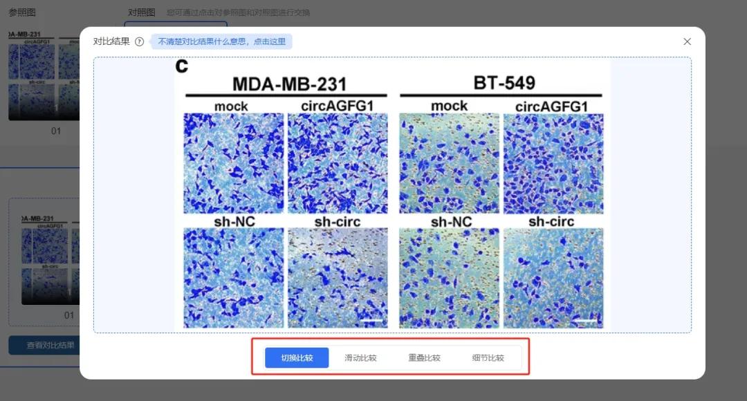图片重复惹大祸！论文发表数月后被撤稿，学术诚信再敲警钟