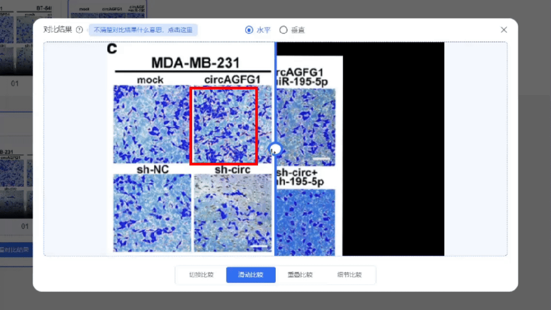 图片重复惹大祸！论文发表数月后被撤稿，学术诚信再敲警钟