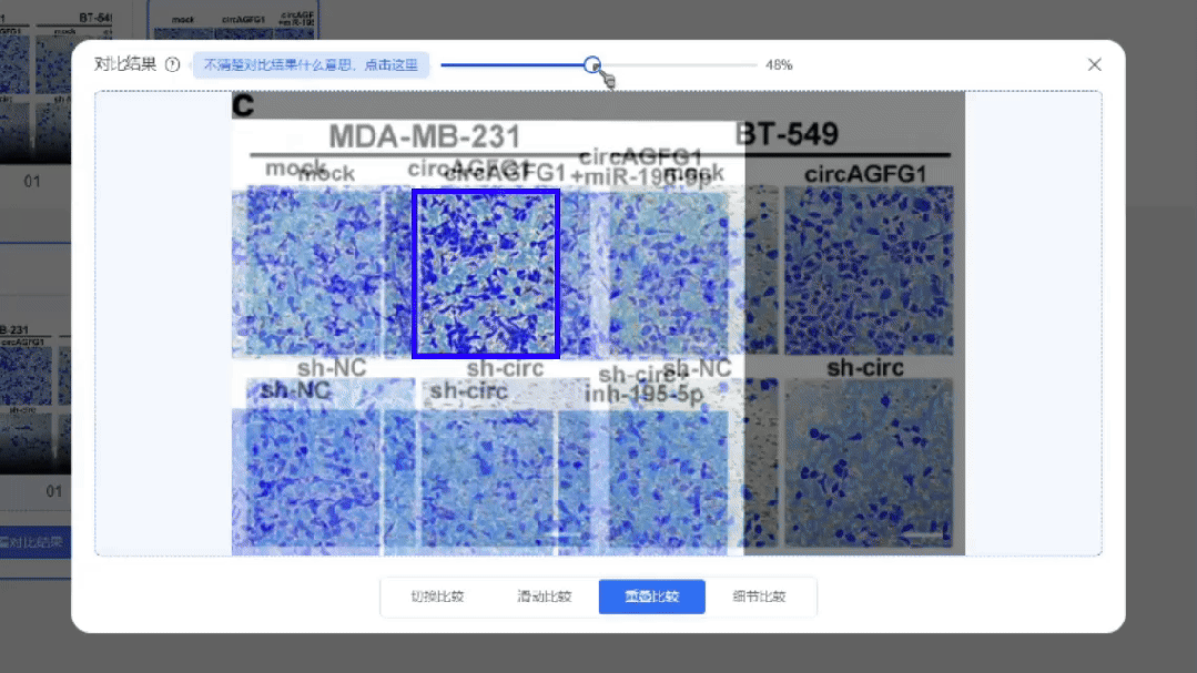 图片重复惹大祸！论文发表数月后被撤稿，学术诚信再敲警钟