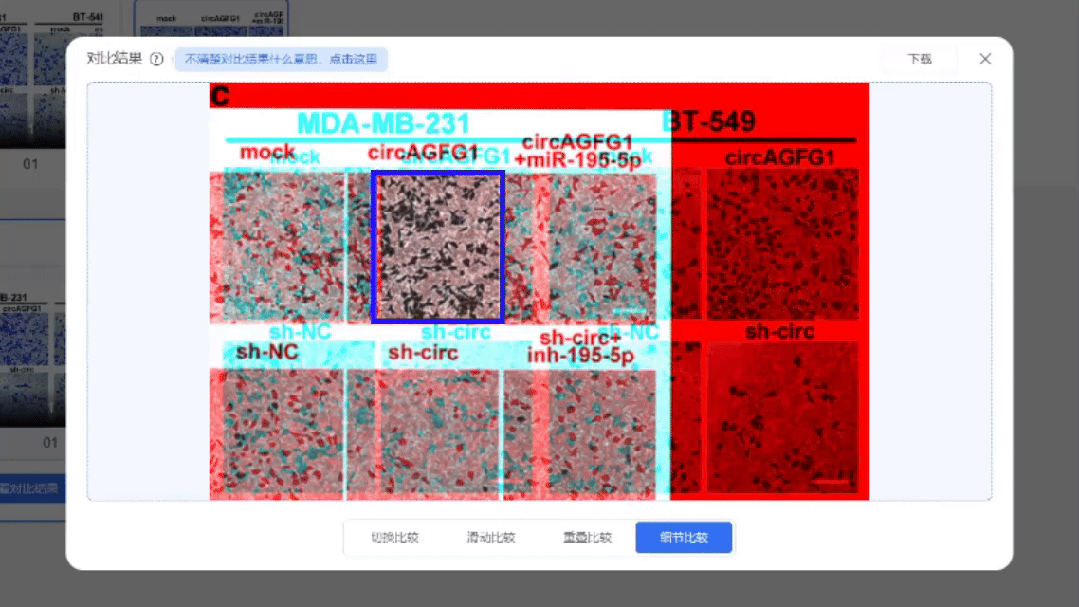 图片重复惹大祸！论文发表数月后被撤稿，学术诚信再敲警钟