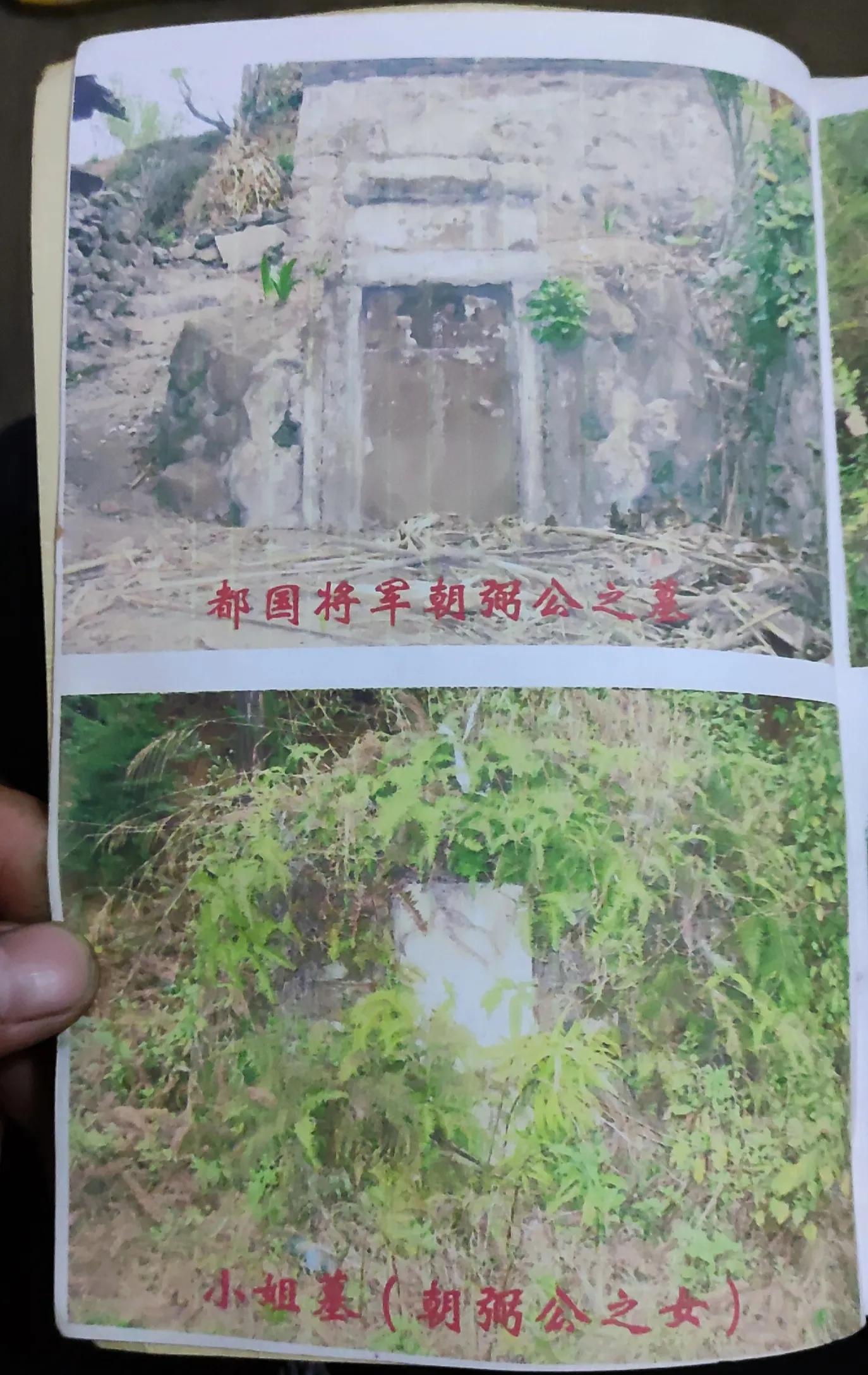 戴氏支系贵州省盘州市羊场乡下午村戴维乾