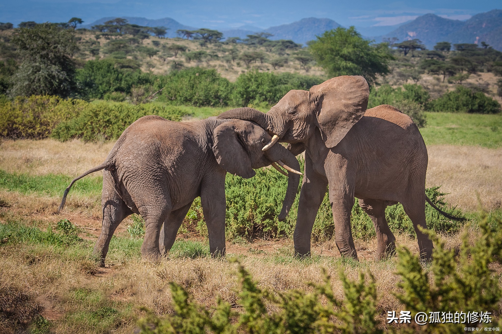 玩家将扮演蝙蝠侠,深入阿卡姆疯人院,与众多蝙蝠侠的敌人战斗