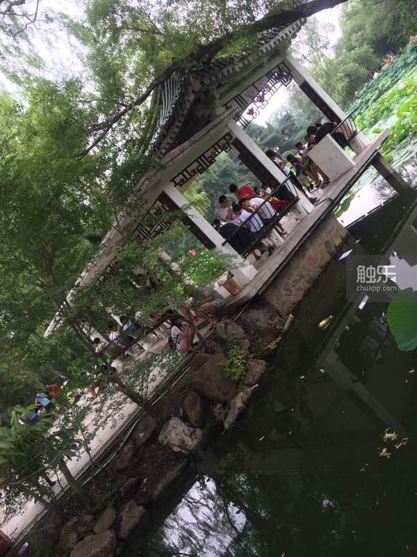 2023年，触乐最值得阅读的10篇文章