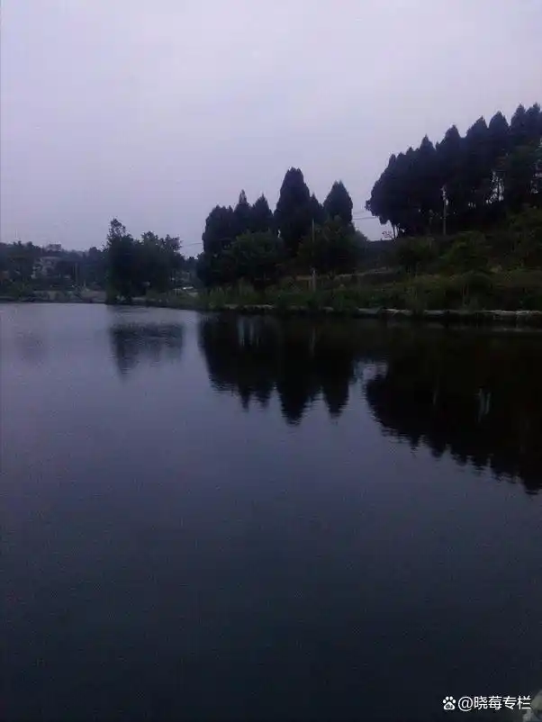 回顾：1994年湖北一男子因“杀妻”被判死刑，11年后妻子突然现身