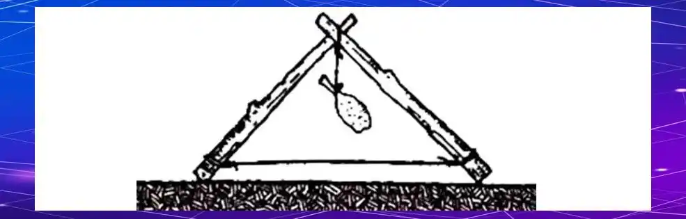 现代与历史：桁架结构的多样应用与创新