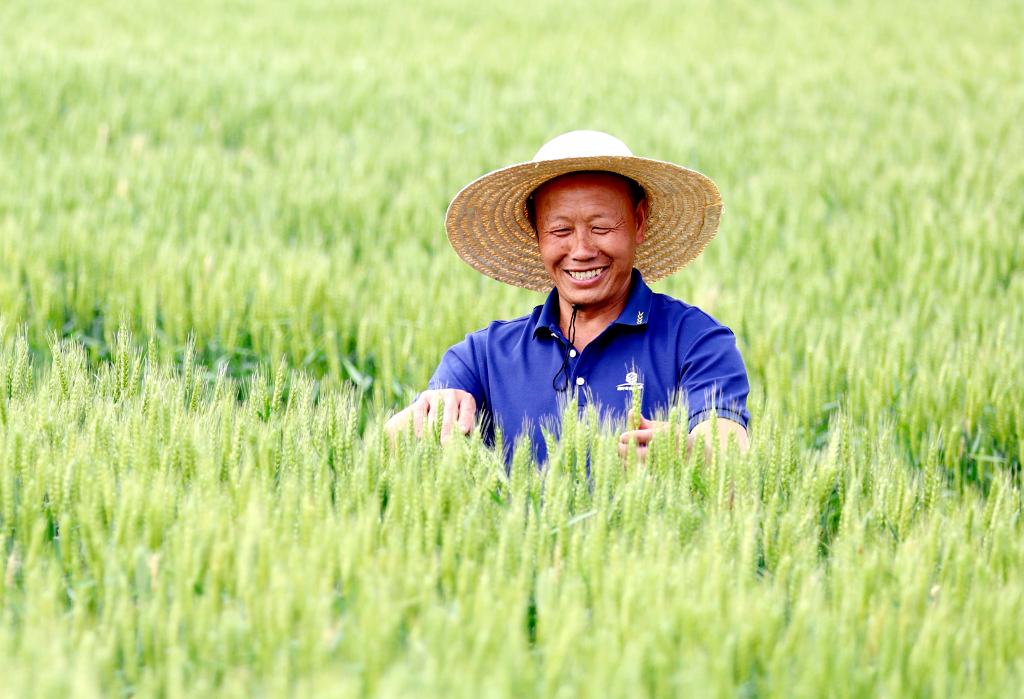 国际观察丨和平、发展、进步的中国力量——解读中国全球好感度持续提升