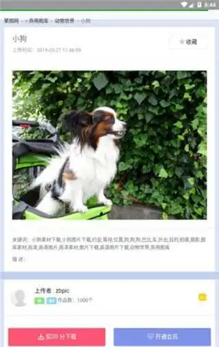 图库资源免费搜索