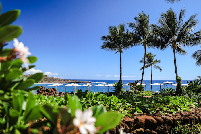 逃跑计划 | 寻找夏威夷，那儿有对海岛的美好幻想