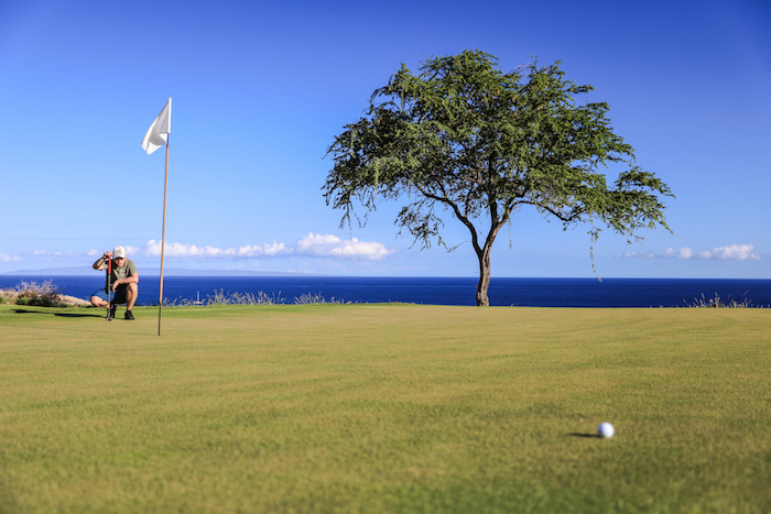 逃跑计划 | 寻找夏威夷，那儿有对海岛的美好幻想