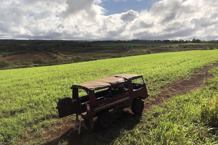逃跑计划 | 寻找夏威夷，那儿有对海岛的美好幻想