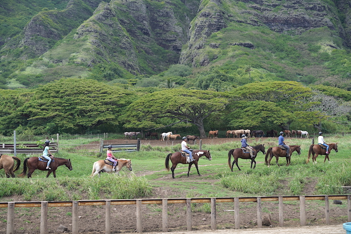 逃跑计划 | 寻找夏威夷，那儿有对海岛的美好幻想