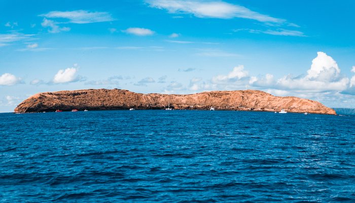 逃跑计划 | 寻找夏威夷，那儿有对海岛的美好幻想