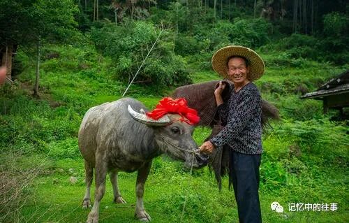 【今日七夕】七月七日七夕情,祝福送给天下人,年年岁岁手相牵,朝朝暮暮共白头!