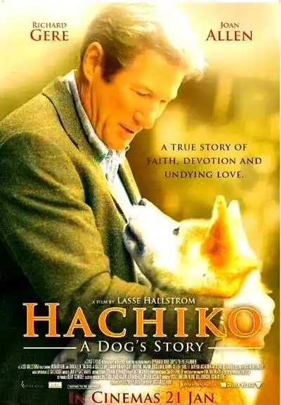 十部治愈系电影推荐，带您感受夏季的宁静美好