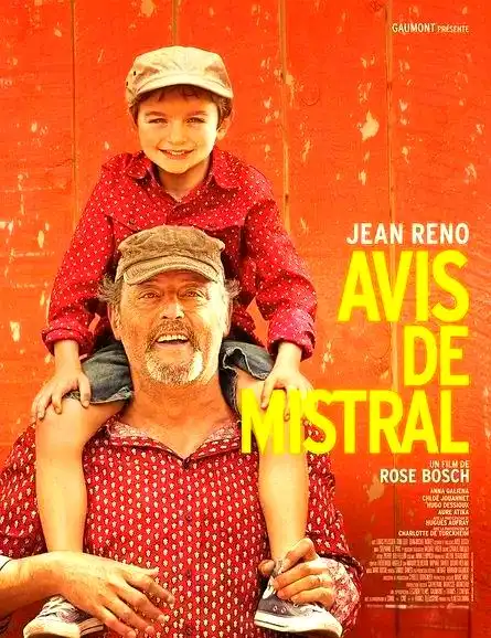 十部治愈系电影推荐，带您感受夏季的宁静美好