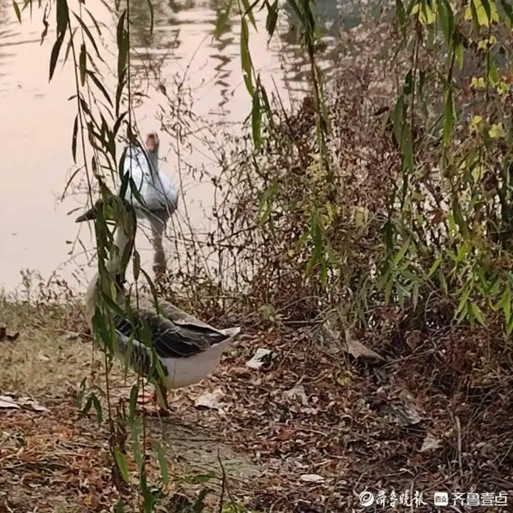 青未了｜十上不第说“罗隐”