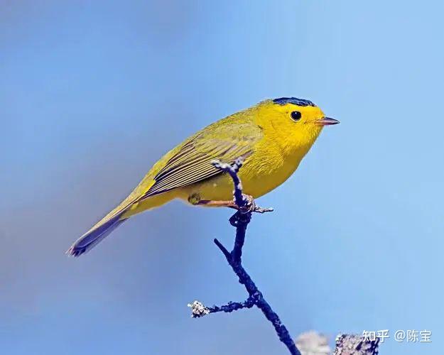 幼儿童早教机(十大品牌推荐)