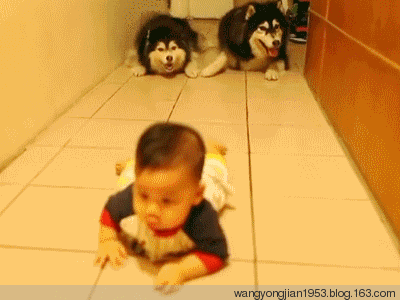 婴幼儿早教游戏有哪些？在家怎么给孩子做早教？超详细的0-3岁婴幼儿早教游戏，建议收藏备用（0~1岁）