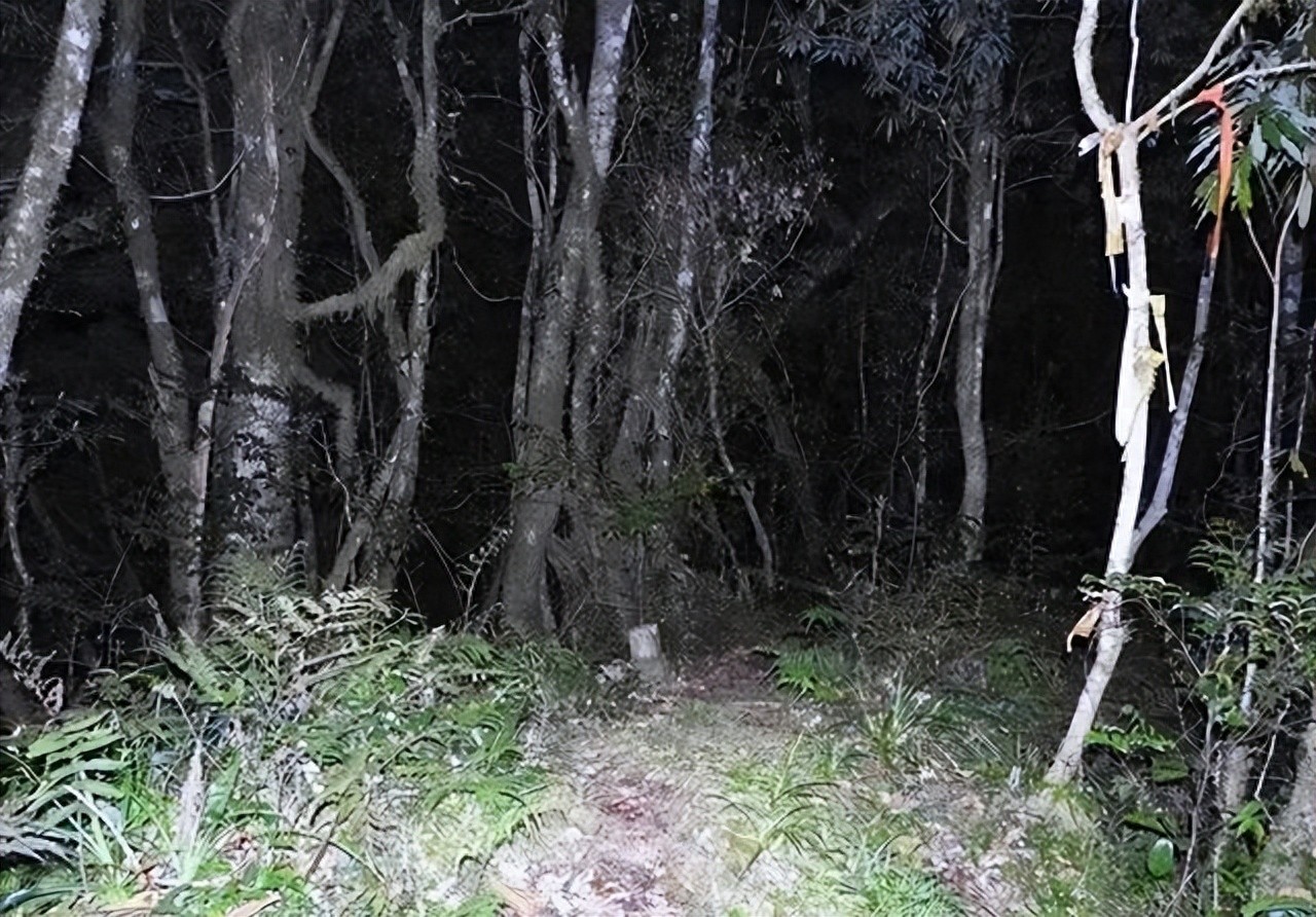 她出生贫寒,20岁成四川当红女主播,32岁不幸坠河溺亡