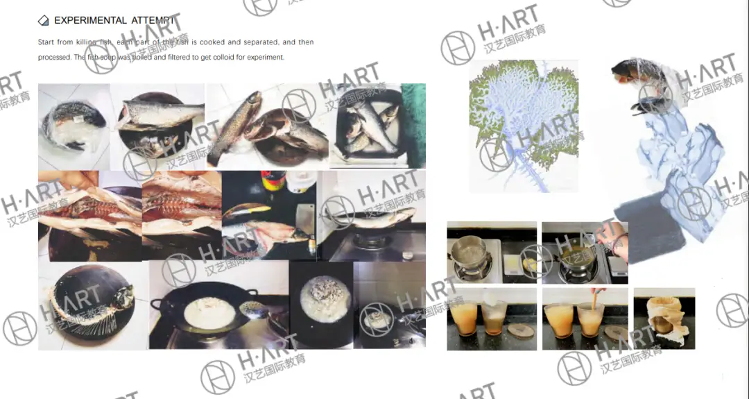 第一次申请被拒?别怕,还有机会