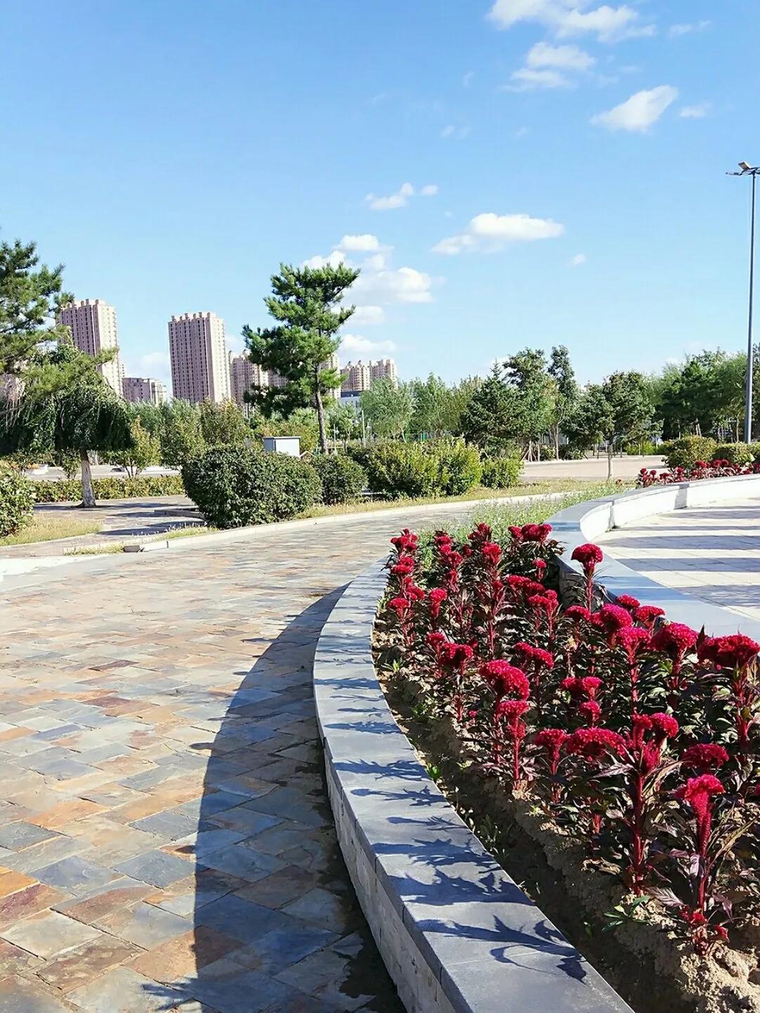 [辽宁 阜新市阜新蒙古族自治县]