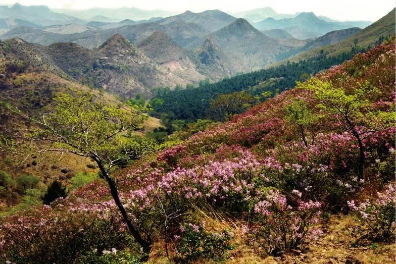 [辽宁 阜新市阜新蒙古族自治县]