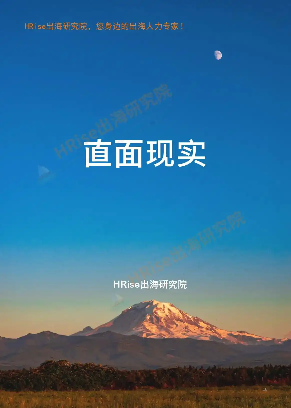跨越山海智赢未来-2026年企业出海趋势研究报告-HRise出海研究院