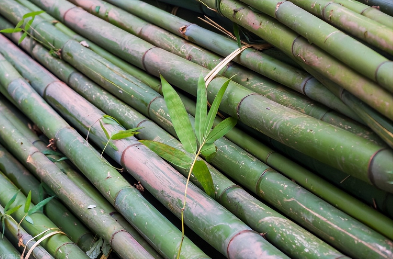 美国日本都不造圆珠笔了？因为中国的一支笔只赚1一分钱