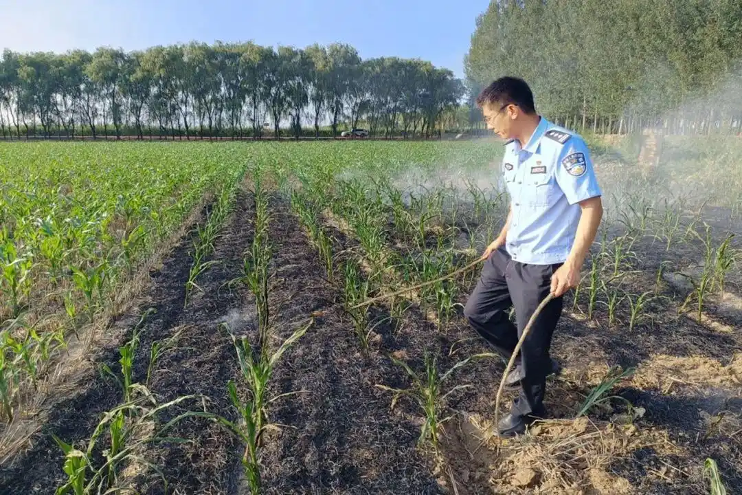 用心筑安，让群众满意！山东东营这个派出所让平安“警”色入画来