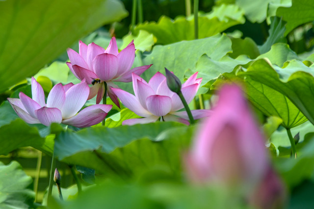 外眼看山东·央媒一周图片撷英丨烟台港原油管道复线(干线)启输